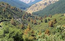 Volunteer with South Marlborough Landscape Restoration Trust