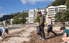 Get wild at work (in a good way)