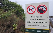 Dog owner’s blatant rule breaking costs $400