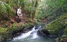 Volunteer with Pukenui Forest Trust