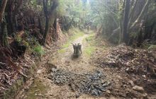 Closing the gate on Mangapurua winter damage