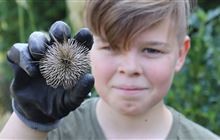 Nature sensory bingo