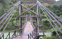 History of Tauranga Bridge