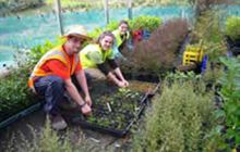 Motueka Nursery volunteers
