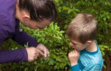 Fun things to do in spring