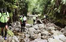 Backing iwi-led biodiversity protection