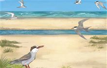 A tale of tara iti: Naturing through storytime