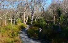 Wildlife Act fix enables economic growth with animal protection