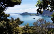 Volunteer with Bream Head Conservation Trust