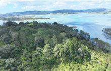 Work set to commence on Opera Point wilding conifer control