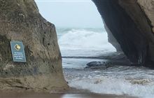 Mautohe Cathedral Cove closed as Cyclone Tam nears