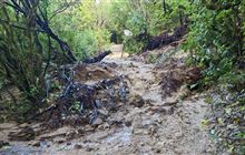 Abel Tasman Coastal Track fully reopen