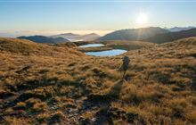 Work on West Coast Conservation Management Strategy paused