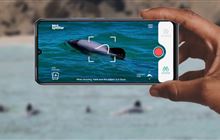 From laptop to tidepool: Always be Naturing with new ways to safeguard marine life