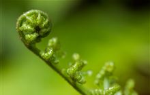 Appointments to QEII National Trust and Ngā Whenua Rāhui Komiti