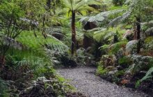 ‘Obscene’ amount of dog faeces spoils popular Bluff walking track