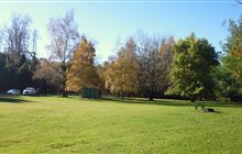 Pioneer Park camp host programme