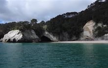 Mautohe Cathedral Cove closed for conifer removal