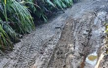 Winter break for the 42 Traverse