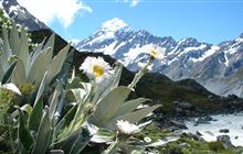 DOC calling for World Heritage applications