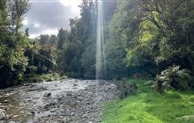 Te Araroa tracks: Places to go