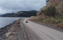 Seals vs. streets: Join the mission to map marine mammals on the move