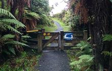 Dead stoat on Stewart Island unexplained