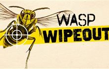 Volunteer for Wasp Wipeout