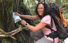 Volunteer with Karioi Project