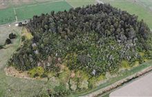 Planting the seeds of community at Gordon Park