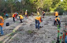 Volunteer with Linton Park Project