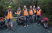 Volunteer with Brook Waimārama Sanctuary
