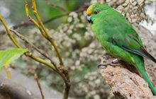 $22 million to enhance wildlife visitor experiences