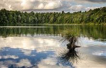 Budget 2025 overview