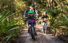 Cycling to regional resilience in Ruapehu