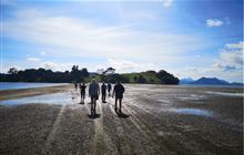 Whangārei volunteer Wednesday