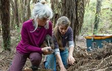 Volunteer with Kerikeri Peninsula Conservation Trust