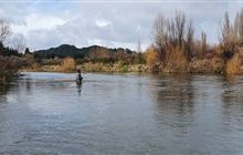 New licence system for Taupō trout fishery