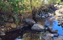 Fossicking rules broken as gold fever strikes