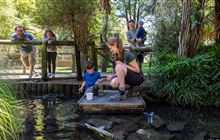 Volunteer with Otorohanga Kiwi House