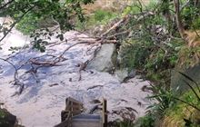 Mautohe Cathedral Cove reopens – visitors urged to exercise caution