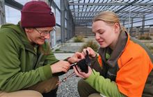 DOC’s bird flu vaccine trial a success