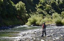 Fish & Game reforms to modernise organisation