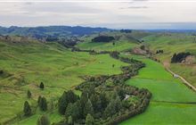 Track upgrade for Nikau Walk